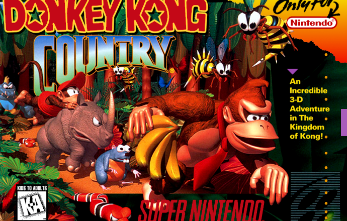 Donkey Kong Country
